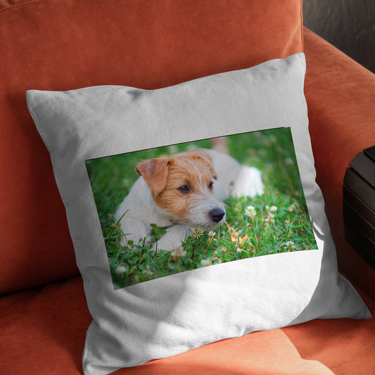 Personalised Cushion Cover Throw Pillow Cover Cushion Cover for Sofa Bed Home Decor