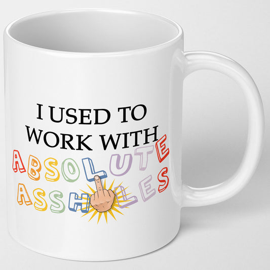 I Used To Work With Absolute Assholes Mug Funny Retirement Gift New Job For Work Boss Leaving Job Gift Colleague