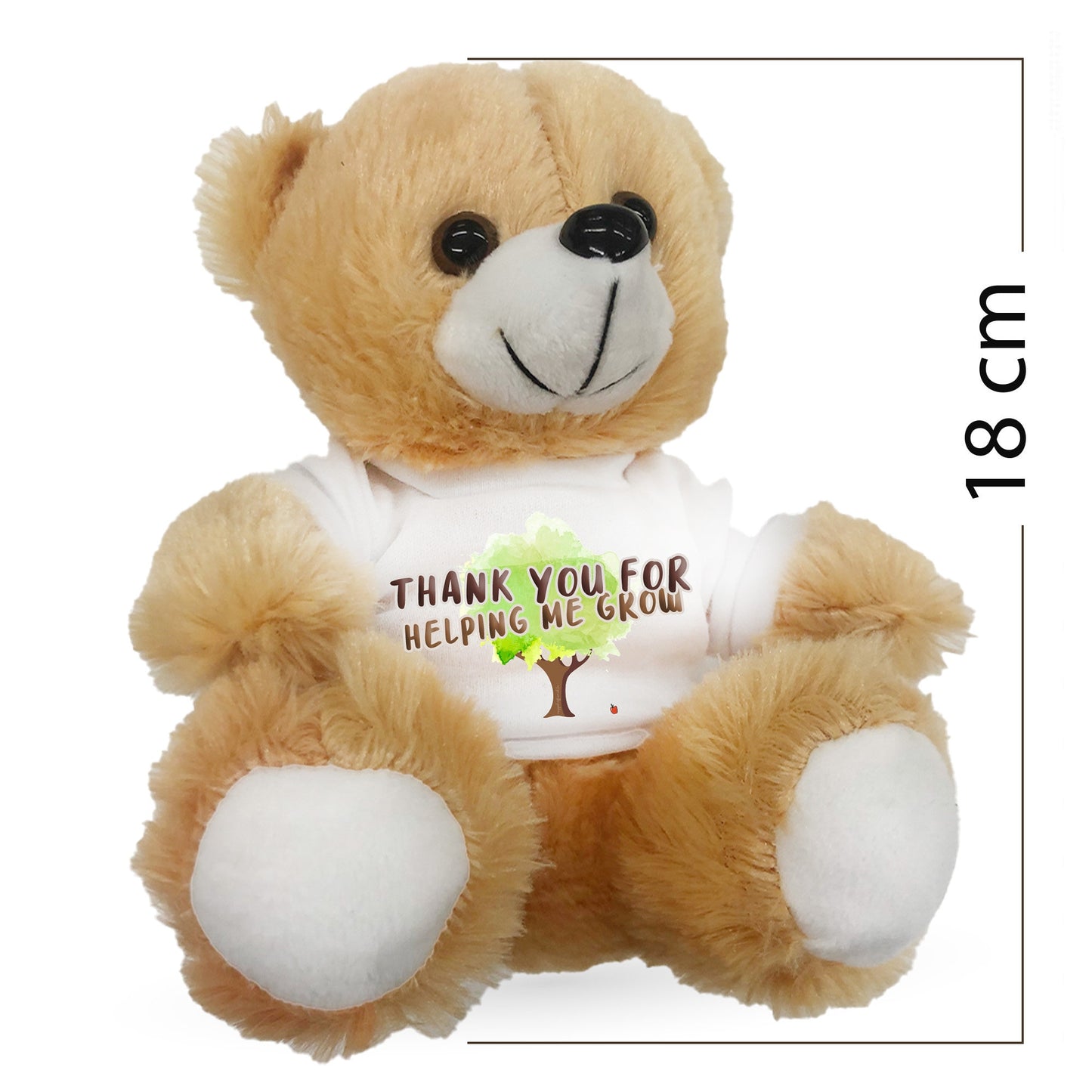 Teddy Bear Teacher Gift Thank You Unique Teacher thank a teacher who deserves a thank you Teddy Bear