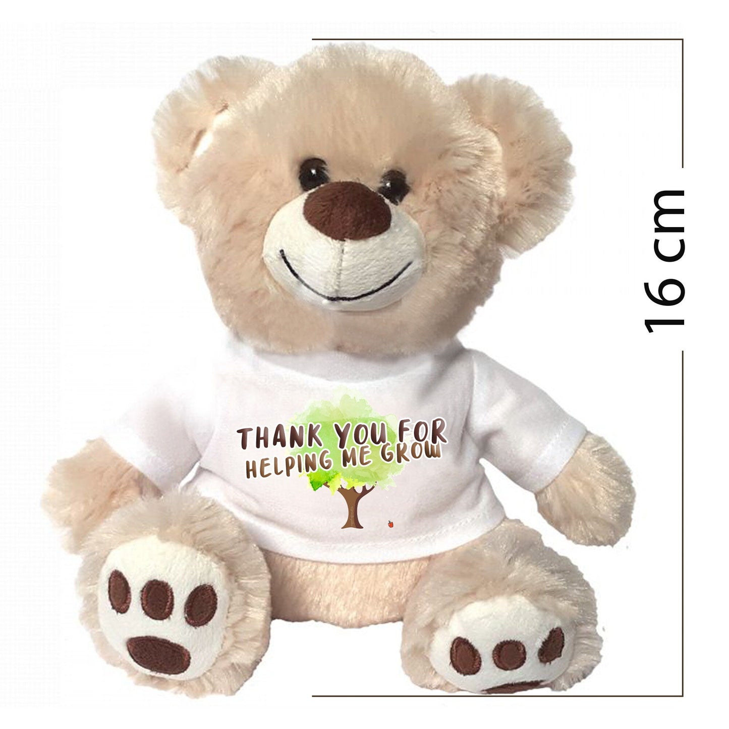 Teddy Bear Teacher Gift Thank You Unique Teacher thank a teacher who deserves a thank you Teddy Bear