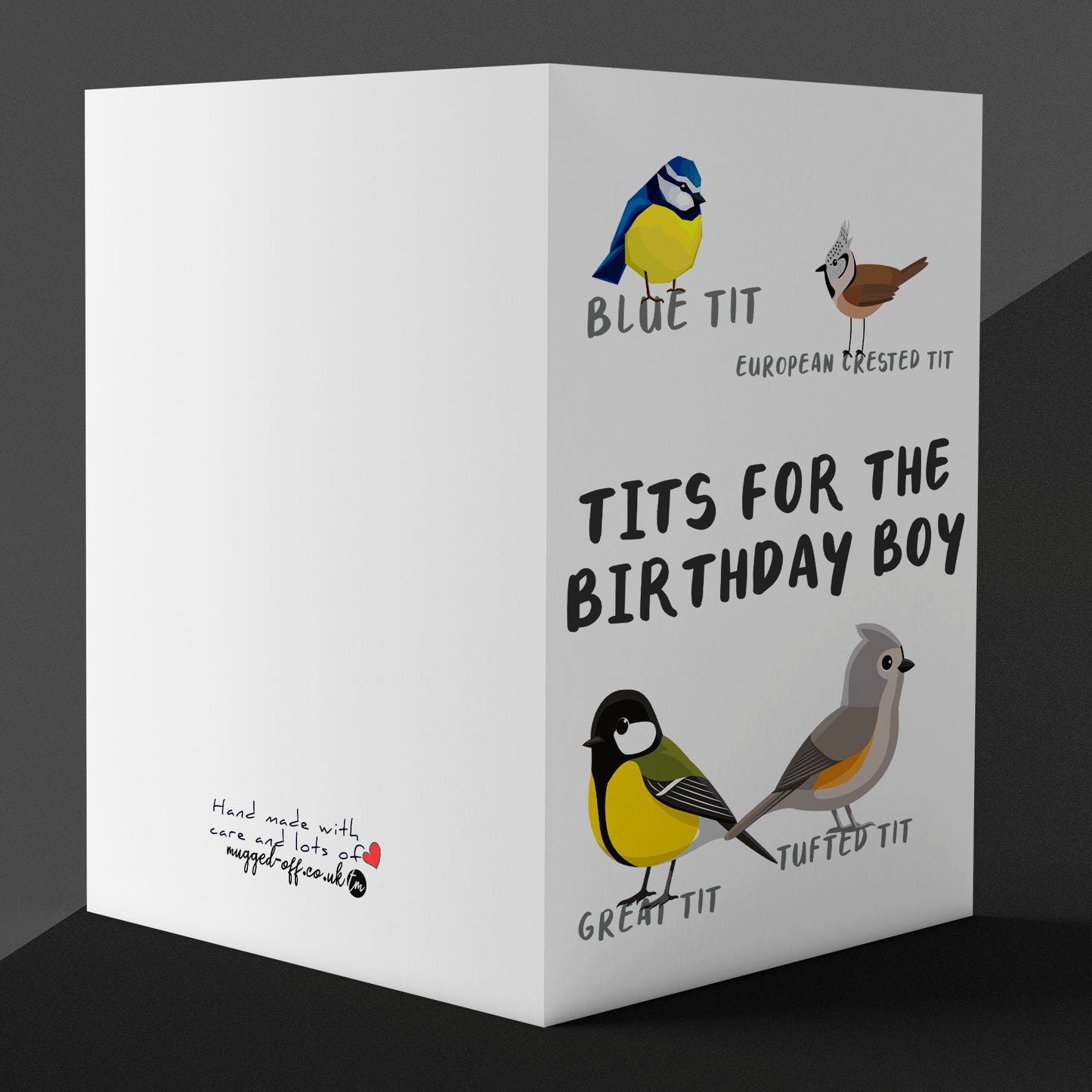 Funny rude tits for birthday boy card, cheap, funny card gift