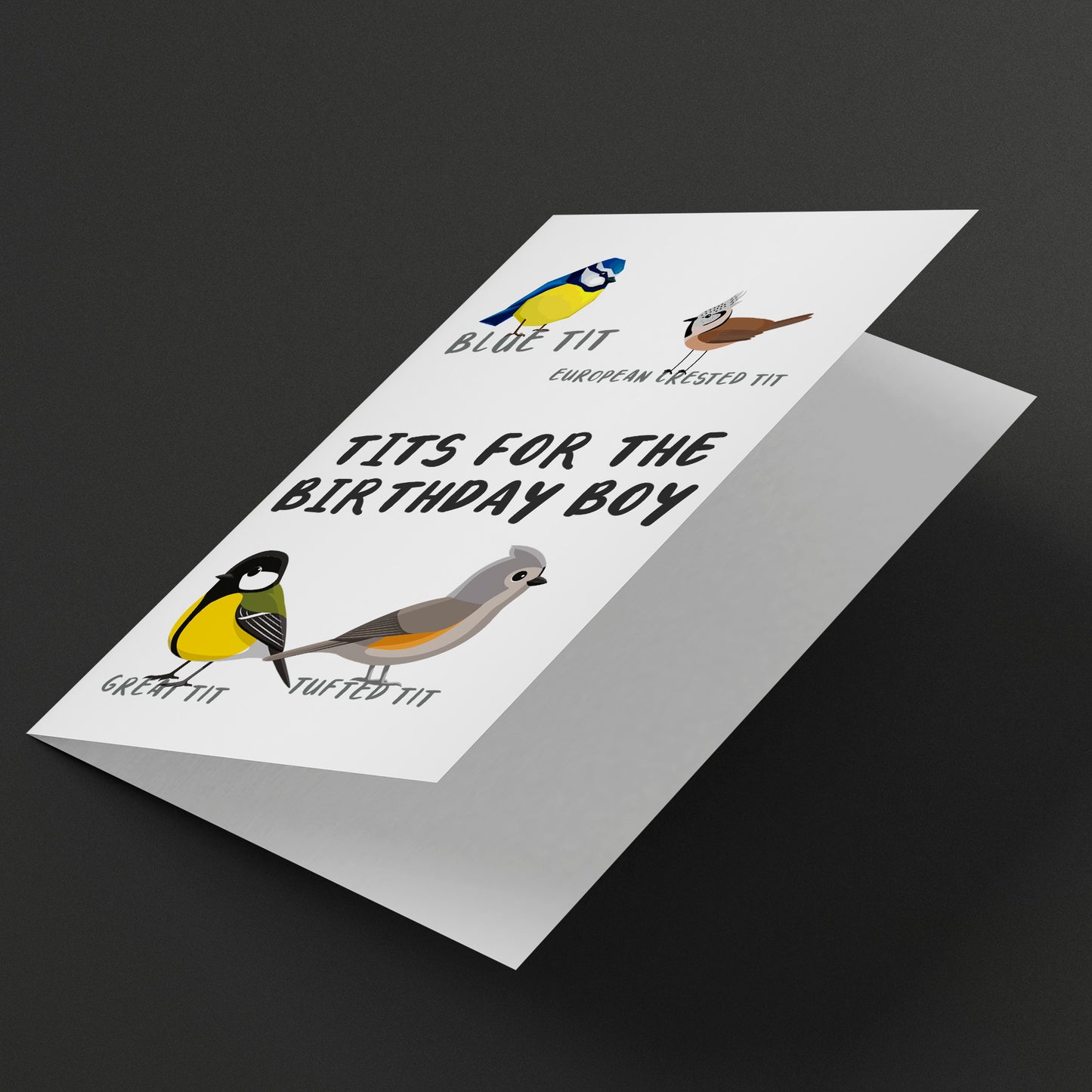 Funny rude tits for birthday boy card, cheap, funny card gift
