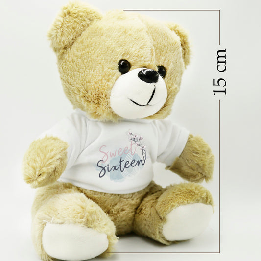 16th Birthday Teddy Bear super cute sweet sixteen keepsake