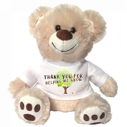 Teddy Bear Teacher Gift Thank You Unique Teacher thank a teacher who deserves a thank you Teddy Bear